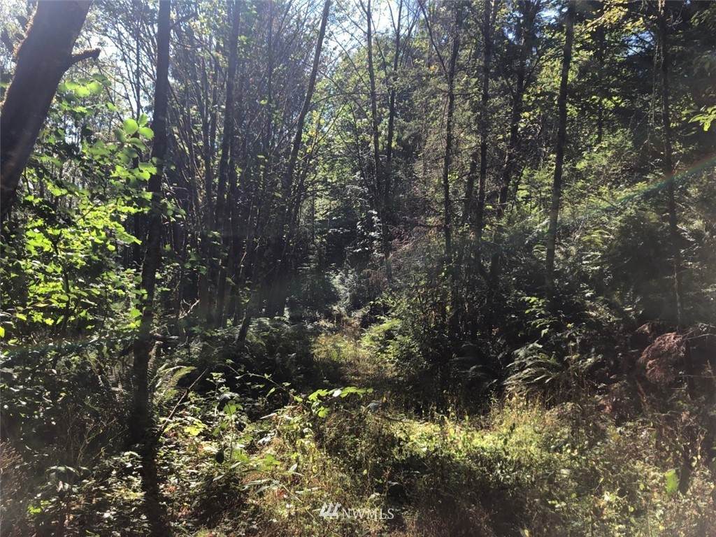 0 Phillips Road - Photo 1