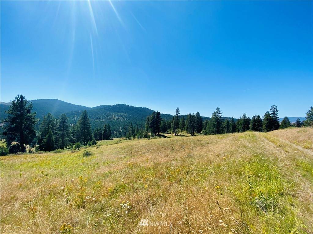 1111 Lambert Mountain Road - Photo 1