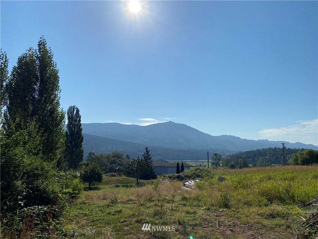 23352 Buchanan Street - Photo 1