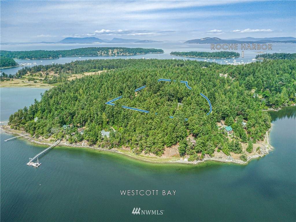 740 White Point Road - Photo 1