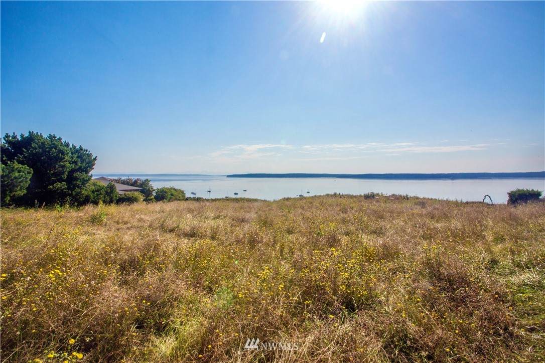 342 Wilson Street - Photo 1