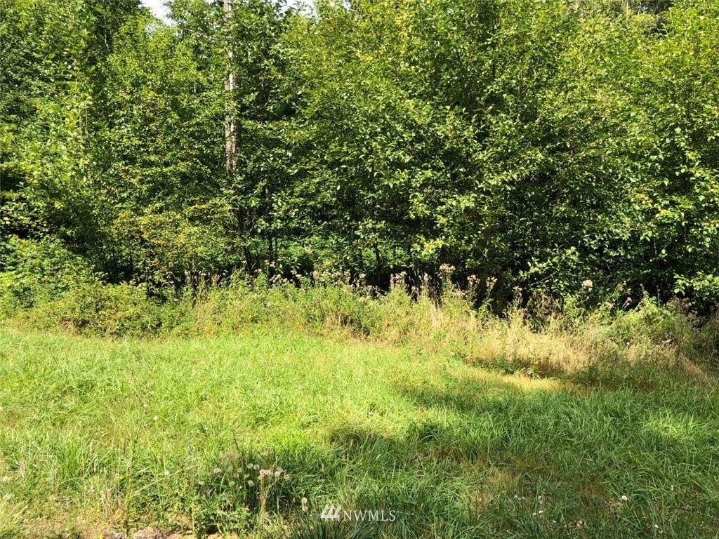 105 Scantigrease Place - Photo 1