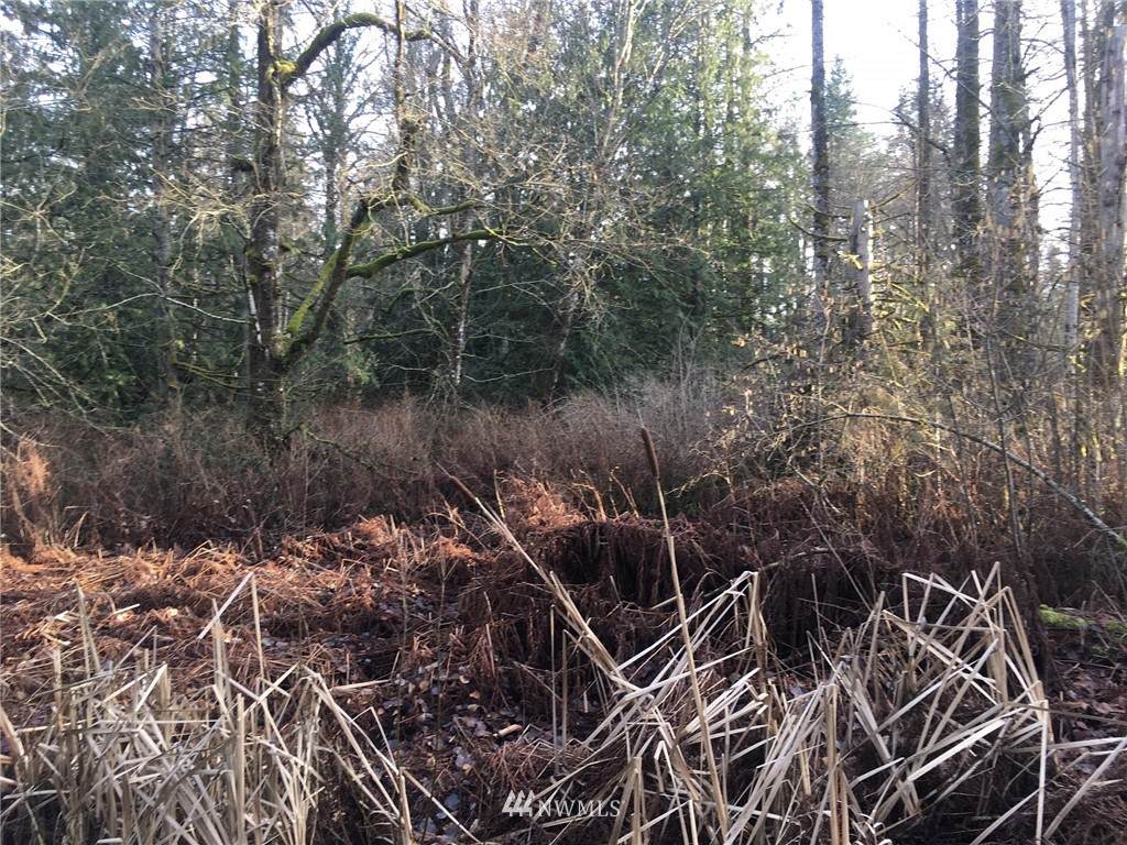 22014 Sumner Buckley Highway - Photo 1