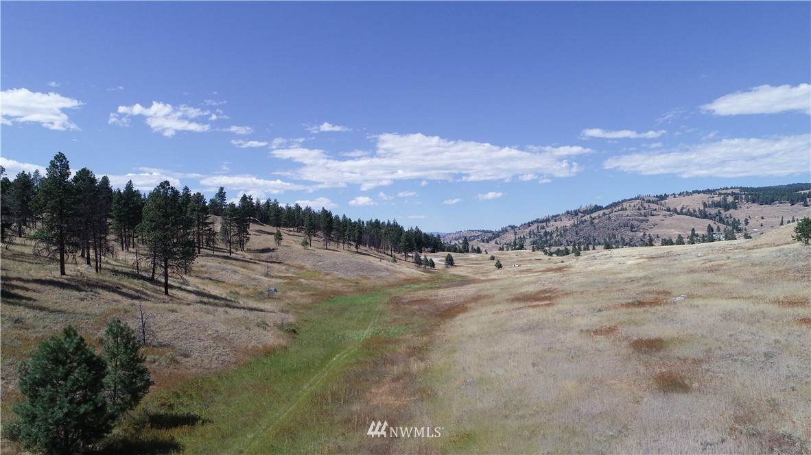 290 Point Drive - Photo 1