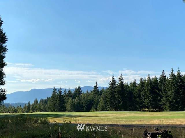 830 Ruby King Loop - Photo 1