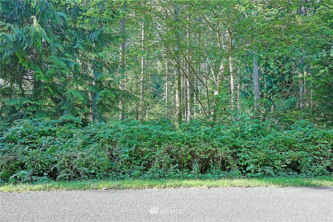 0 126th Street - Photo 1
