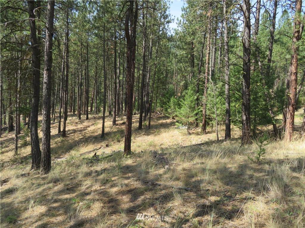 0 Hwy 20 - Photo 1