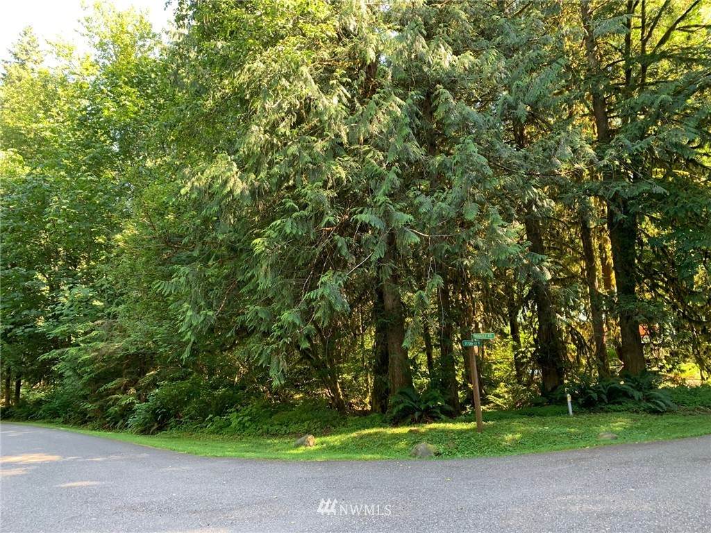 13001 Shuksan Rim Drive - Photo 1