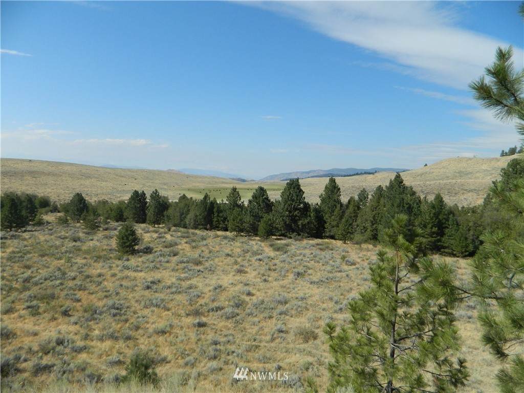 111 Siwash Creek Road - Photo 1
