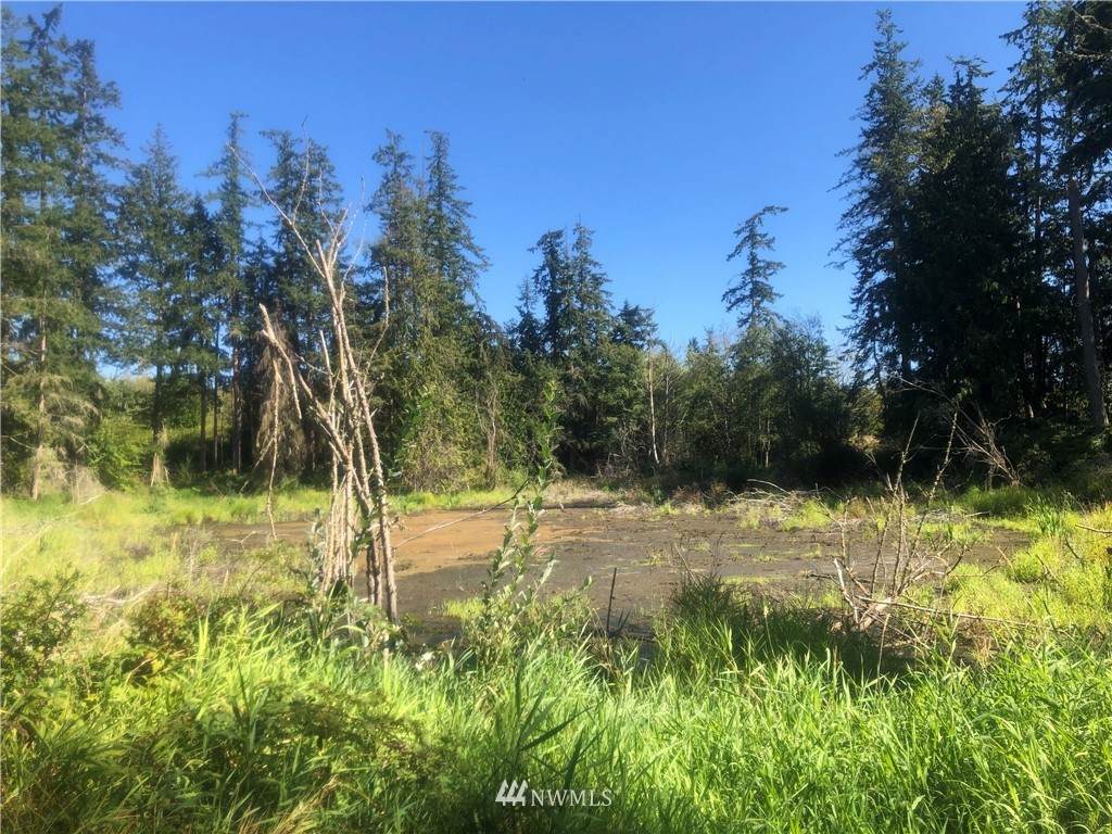 0 Watkins Road - Photo 1