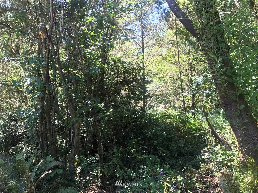 294 S Lane - Photo 1