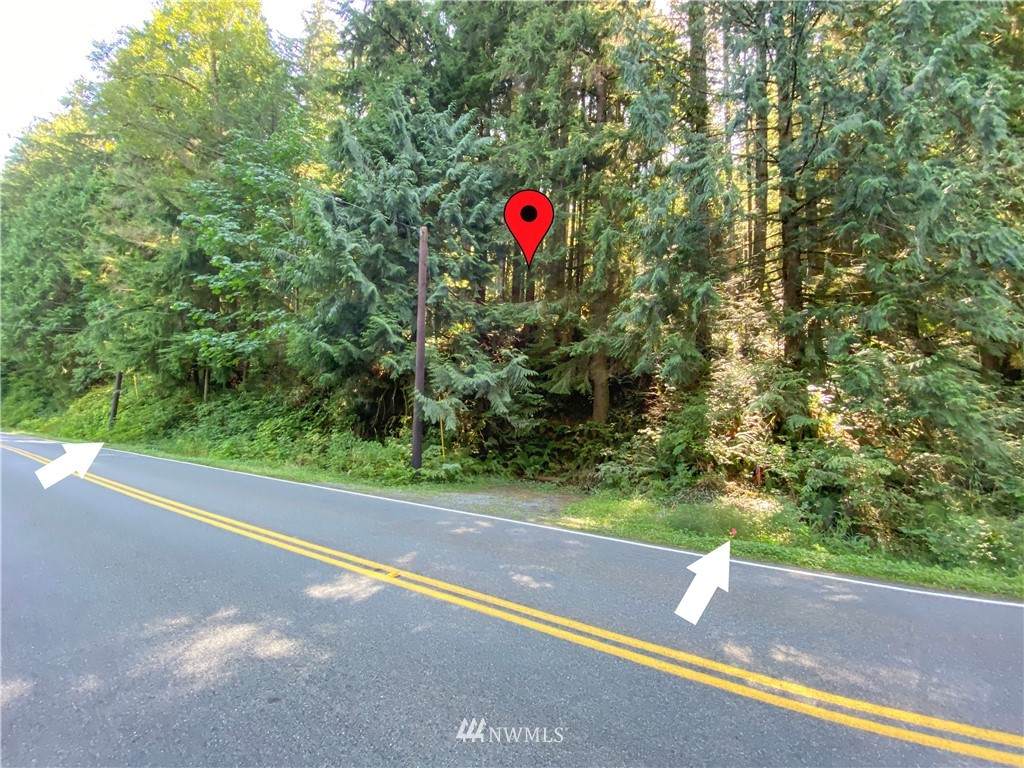 235 Lake Roesiger Road - Photo 1