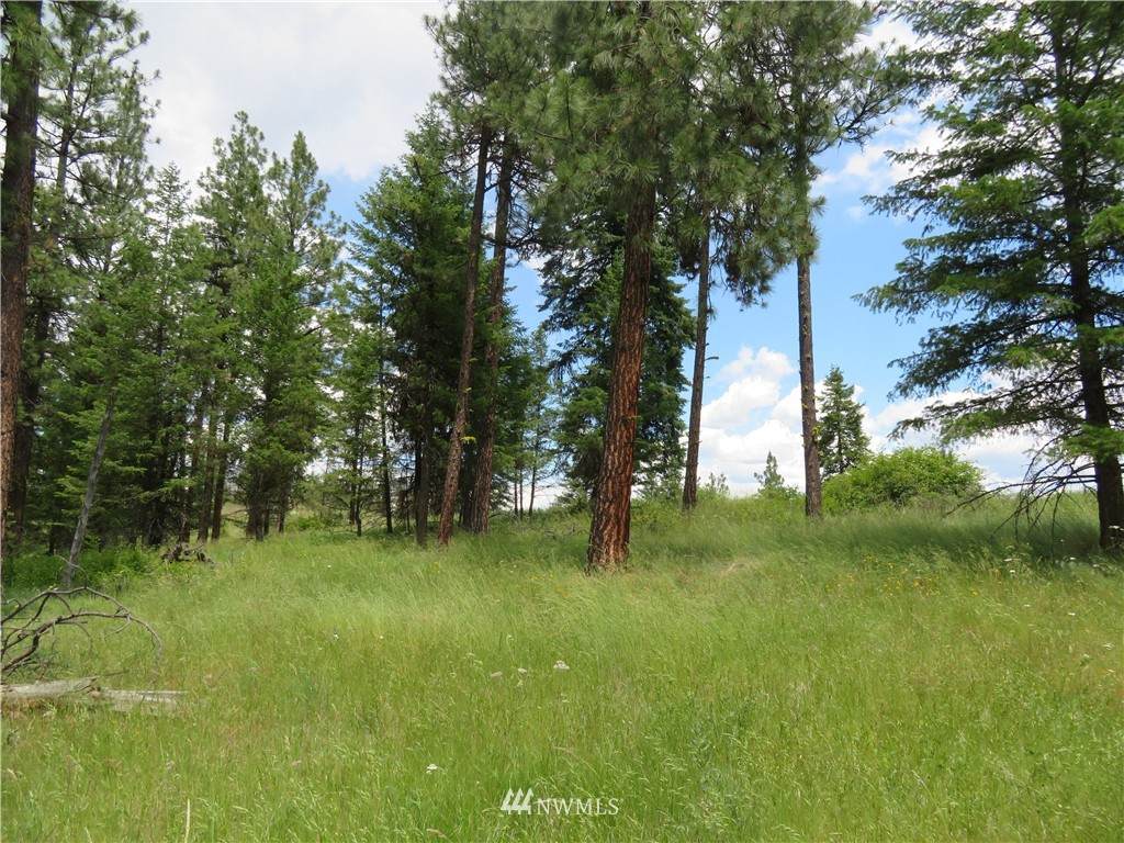 0 Curlew Lake Road - Photo 1