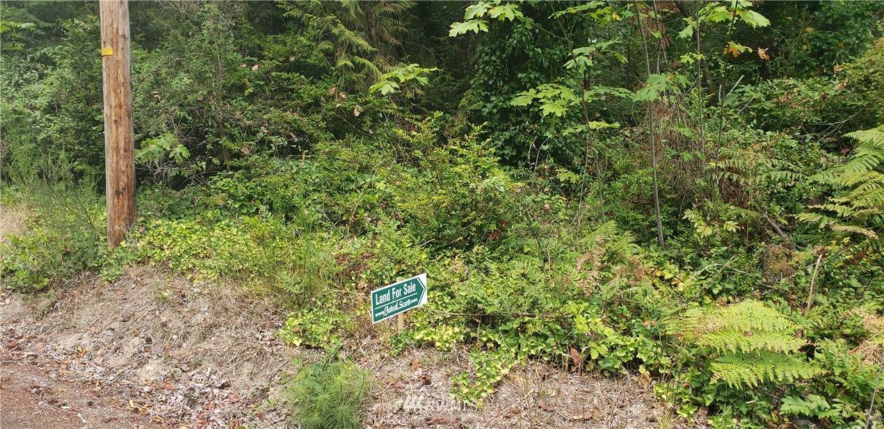0 154th Avenue - Photo 1