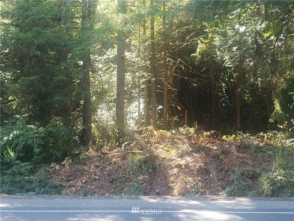 13708 Peacock Hill Avenue - Photo 1