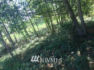 5826 Storr Road - Photo 1