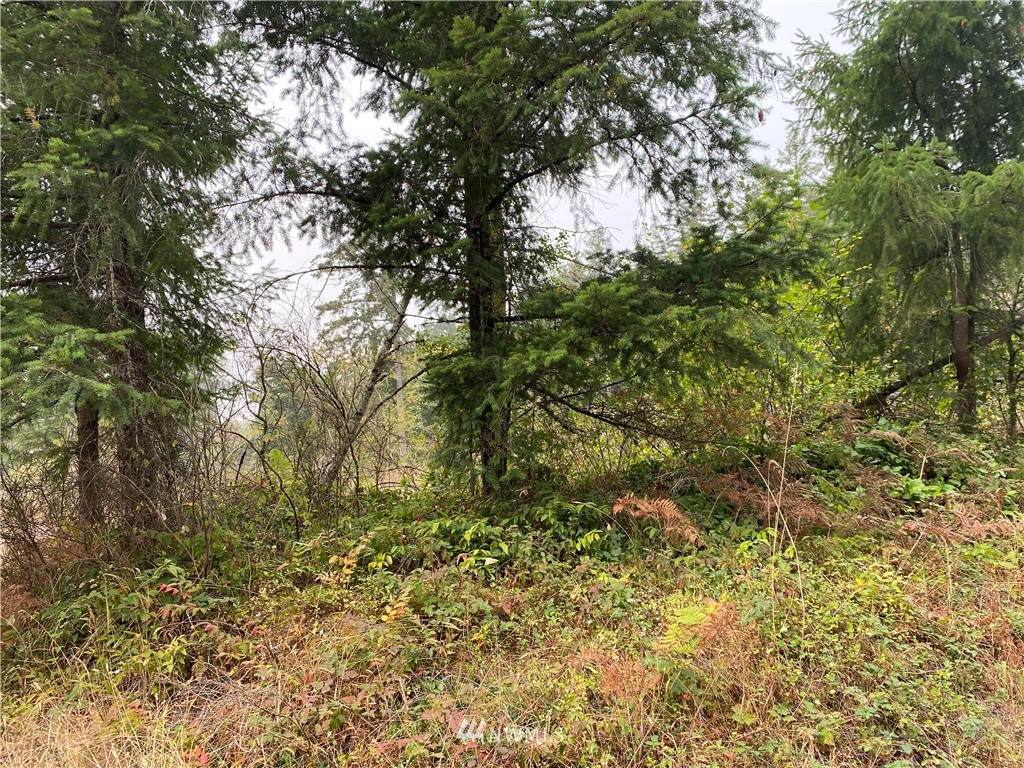5323 103rd Avenue - Photo 1