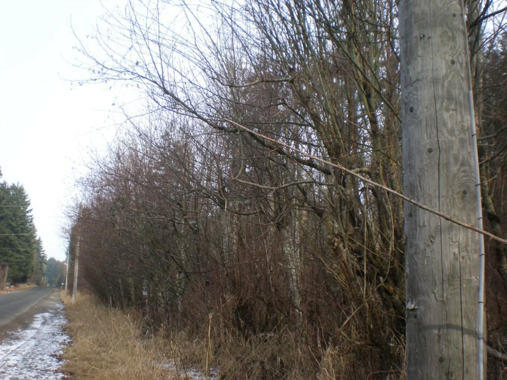 1 62nd Ave - Photo 1