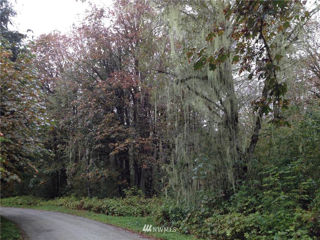 0 Emerald Lane - Photo 1