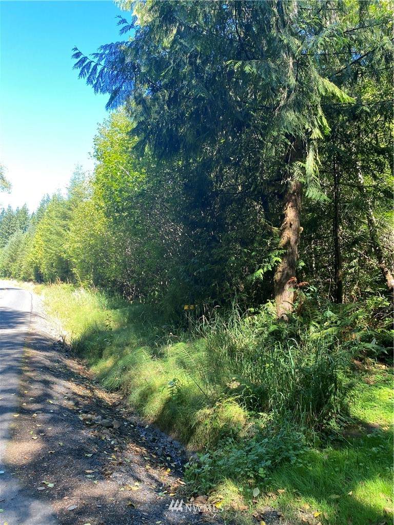 0 Coal Creek Road - Photo 1