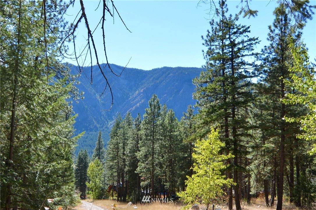 25 Mustard Mountain Road - Photo 1