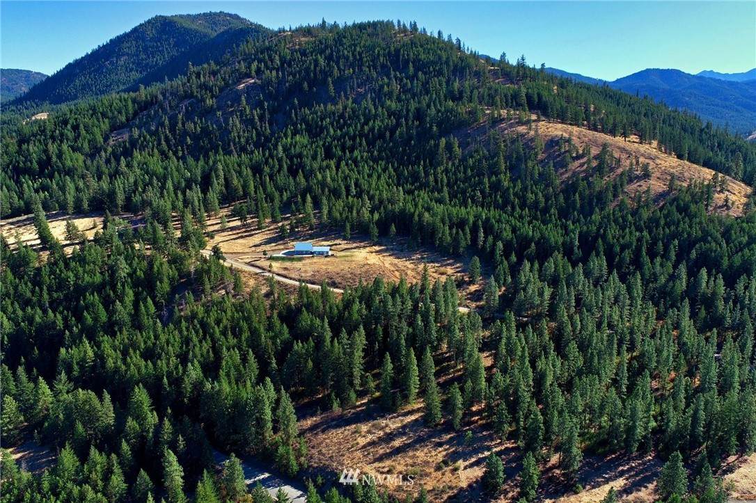 0 Poorman Creek Road - Photo 1