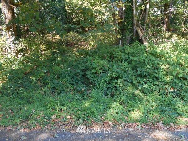 0 Spring Rd Road - Photo 1