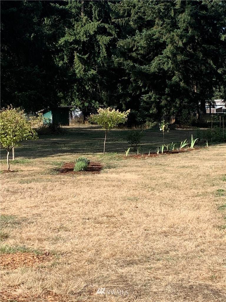 10335 School Land Road - Photo 1