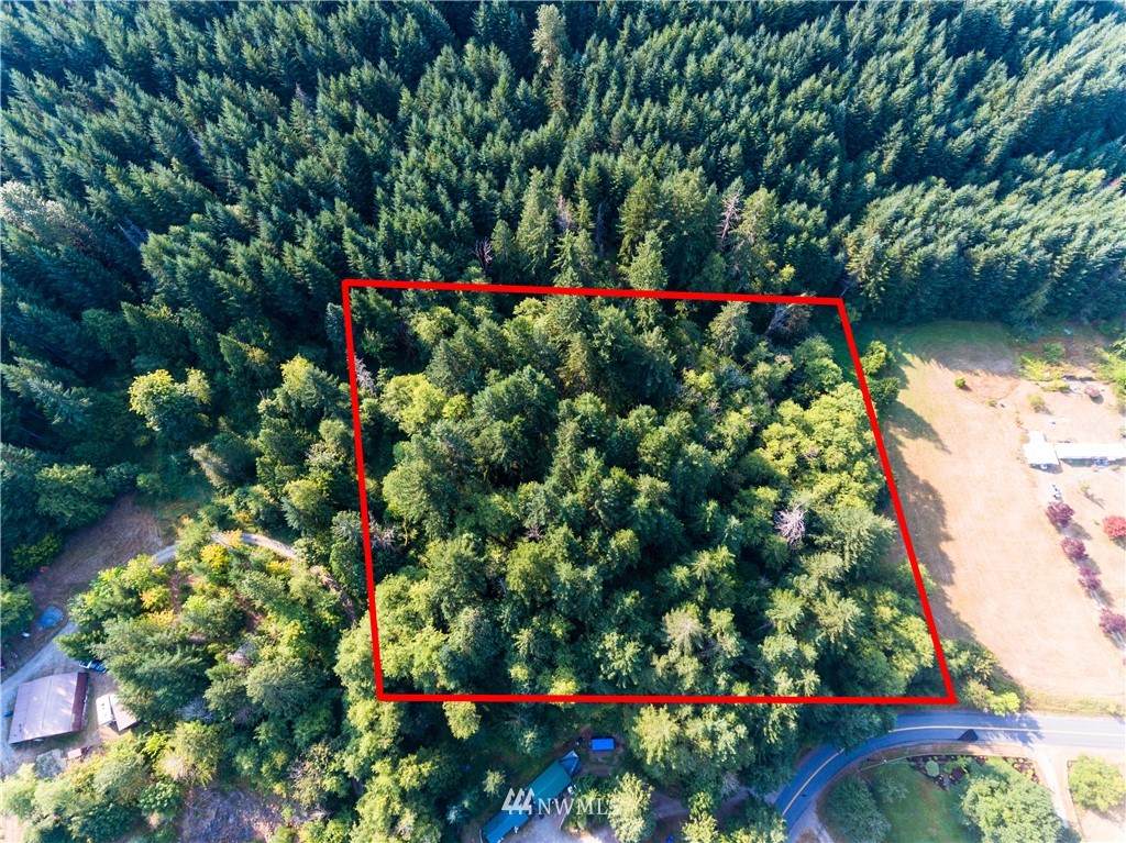 0 Cline Road - Photo 1