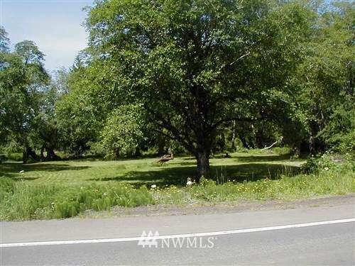 0 Lynn Point - Photo 1