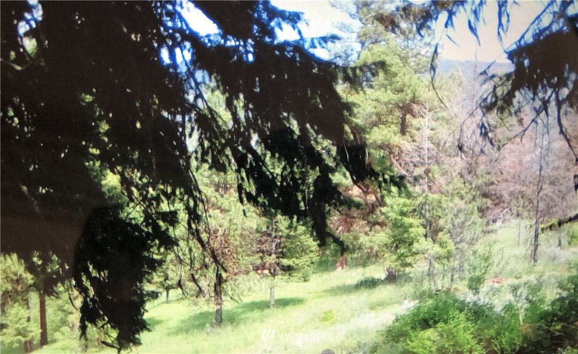 0 Lot 387 Chopaka Way - Photo 1
