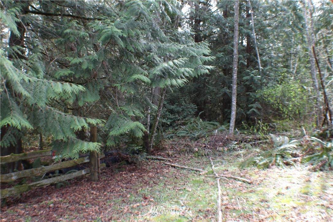 0 Frog Song Place - Photo 1
