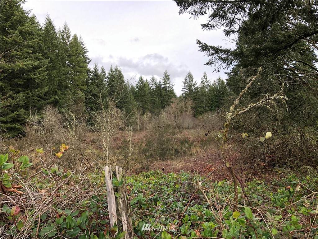 9685 Orchard Avenue - Photo 1