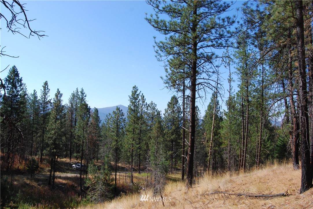 1 Long Horn Trail - Photo 1