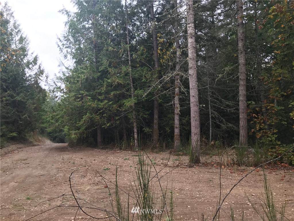 0 Whiteman Road - Photo 1