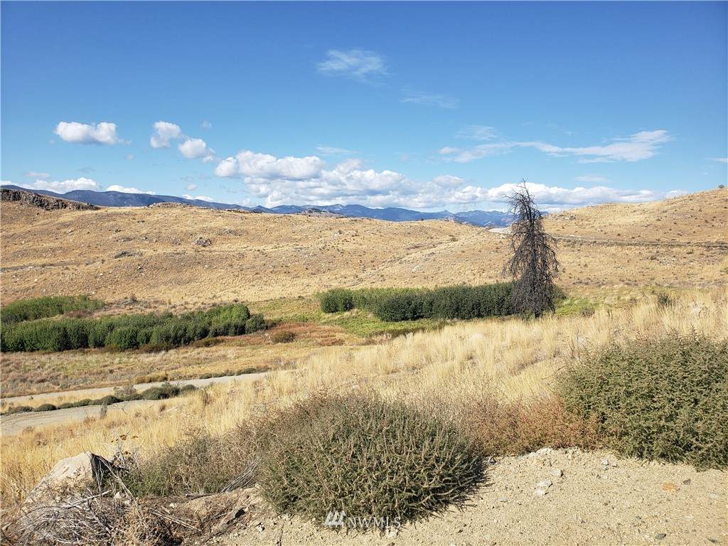 0 Methow River Ranch - Photo 1