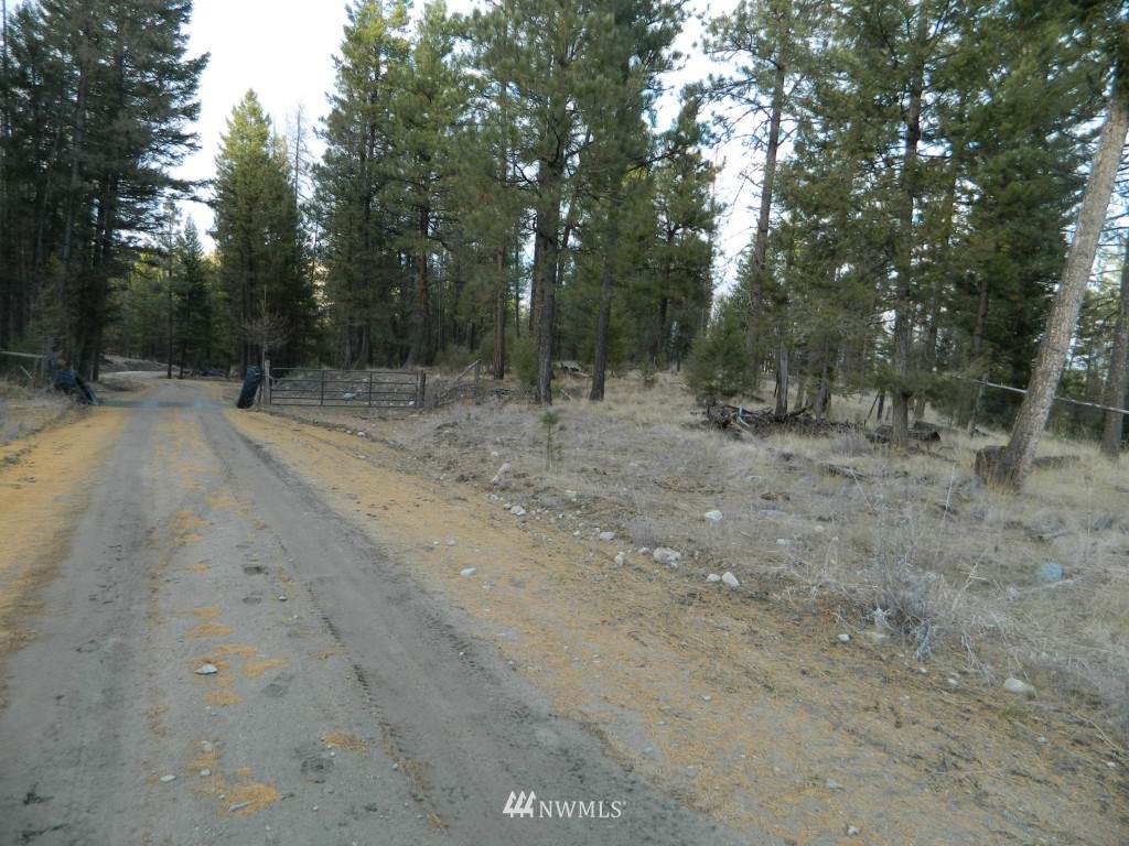 1111 TBD Bench Creek Road - Photo 1