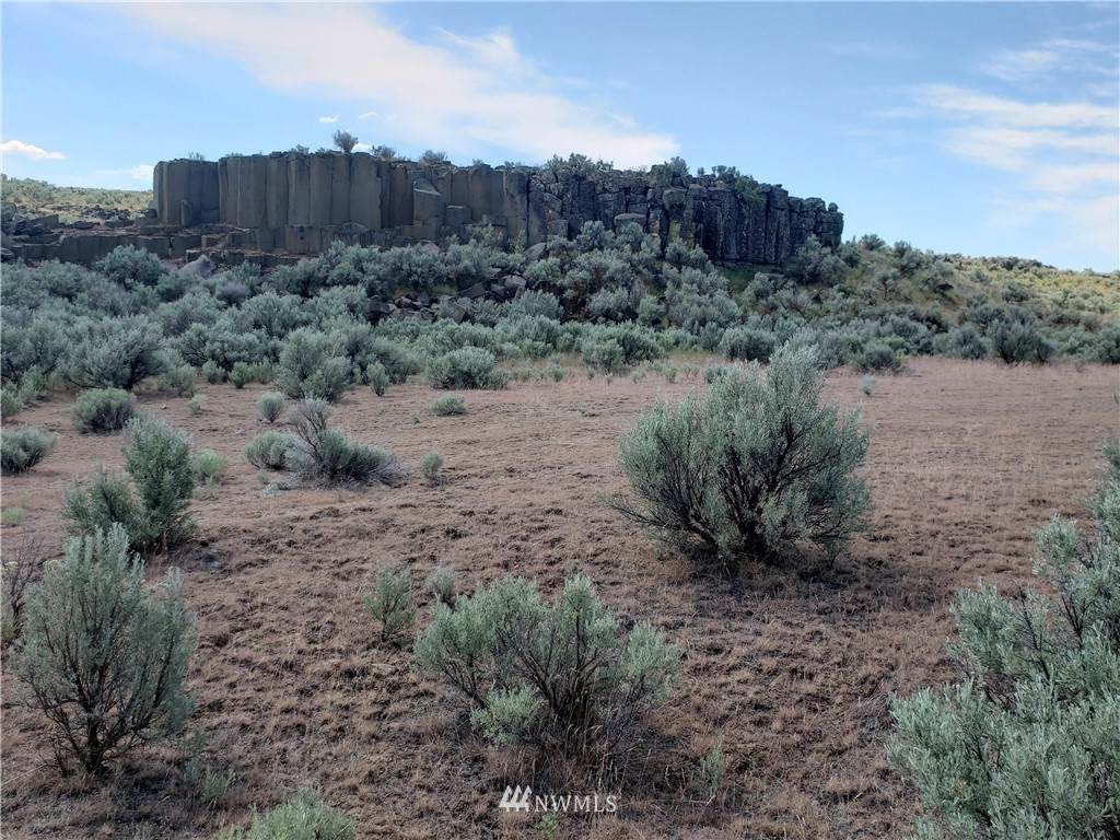 14149 Spirit Valley Road - Photo 1