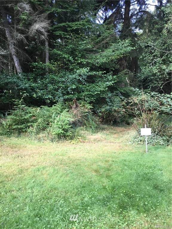 0 Alder View Lane - Photo 1