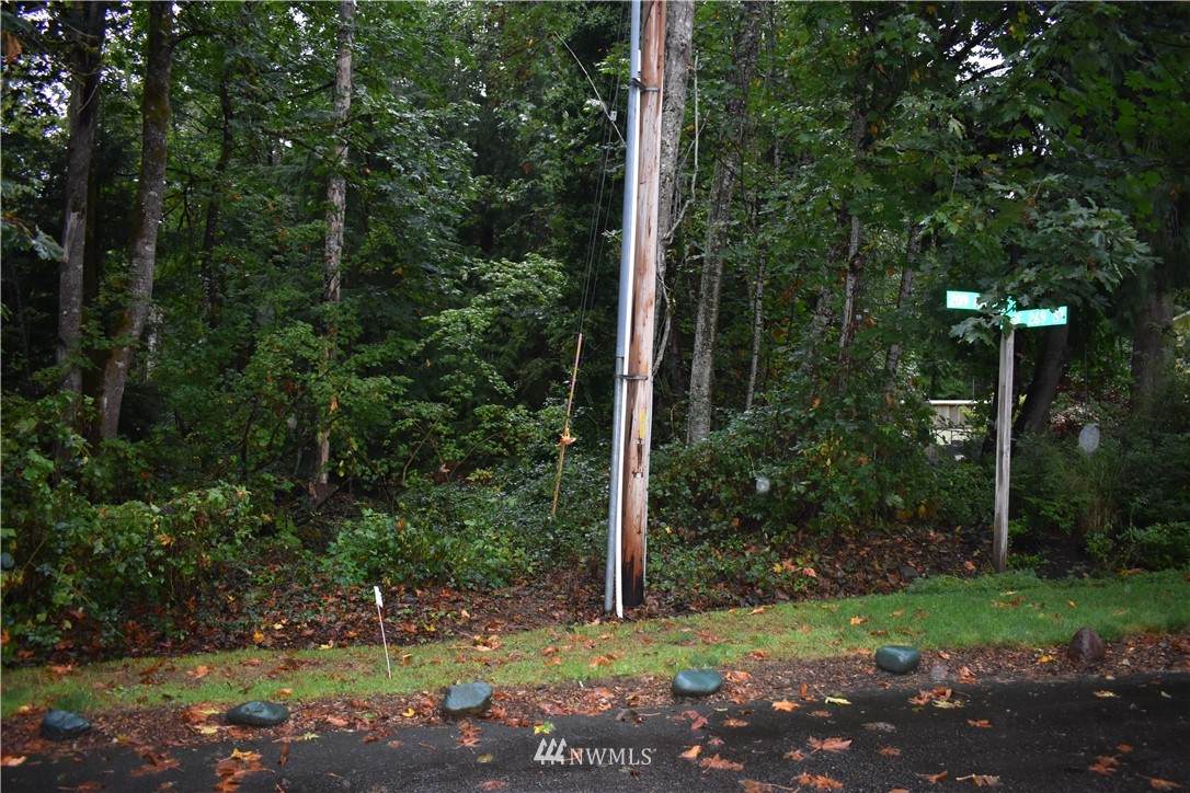 0 209th Avenue - Photo 1