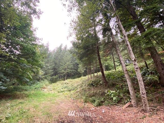 300 Summit Road - Photo 1