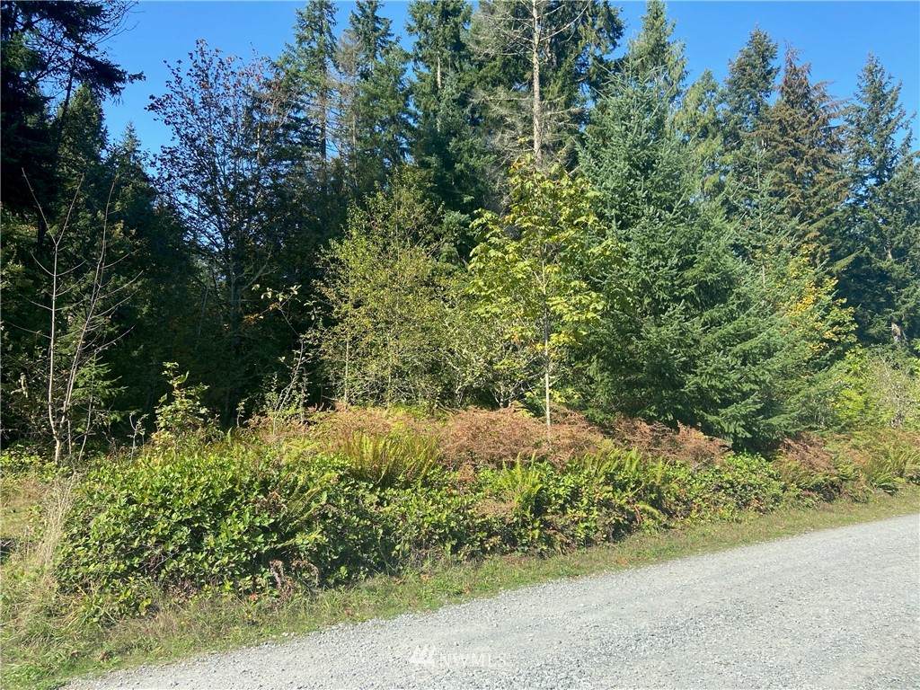 0 Xxx 157th Avenue - Photo 1