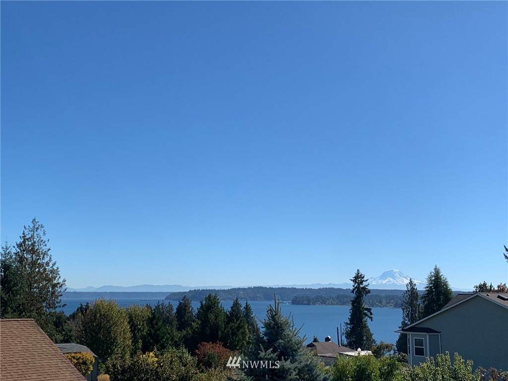1123 Puget Drive - Photo 1