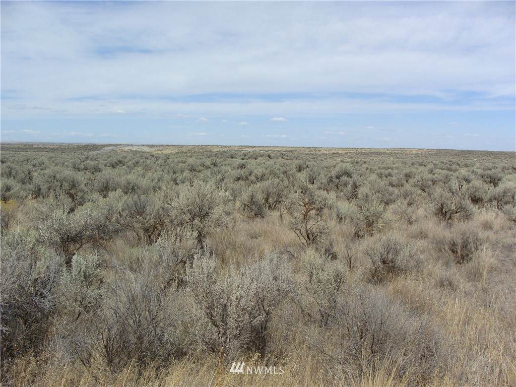 75 Eagle Springs Ranch - Photo 1