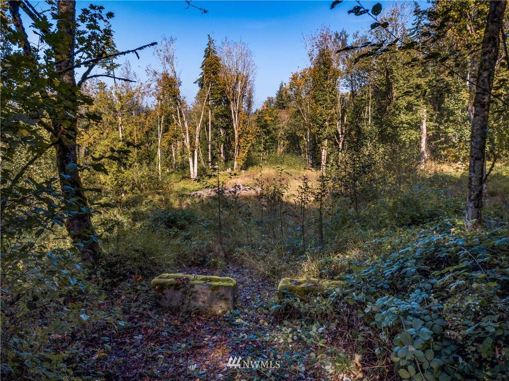 0 Squalicum Mountain Road - Photo 1