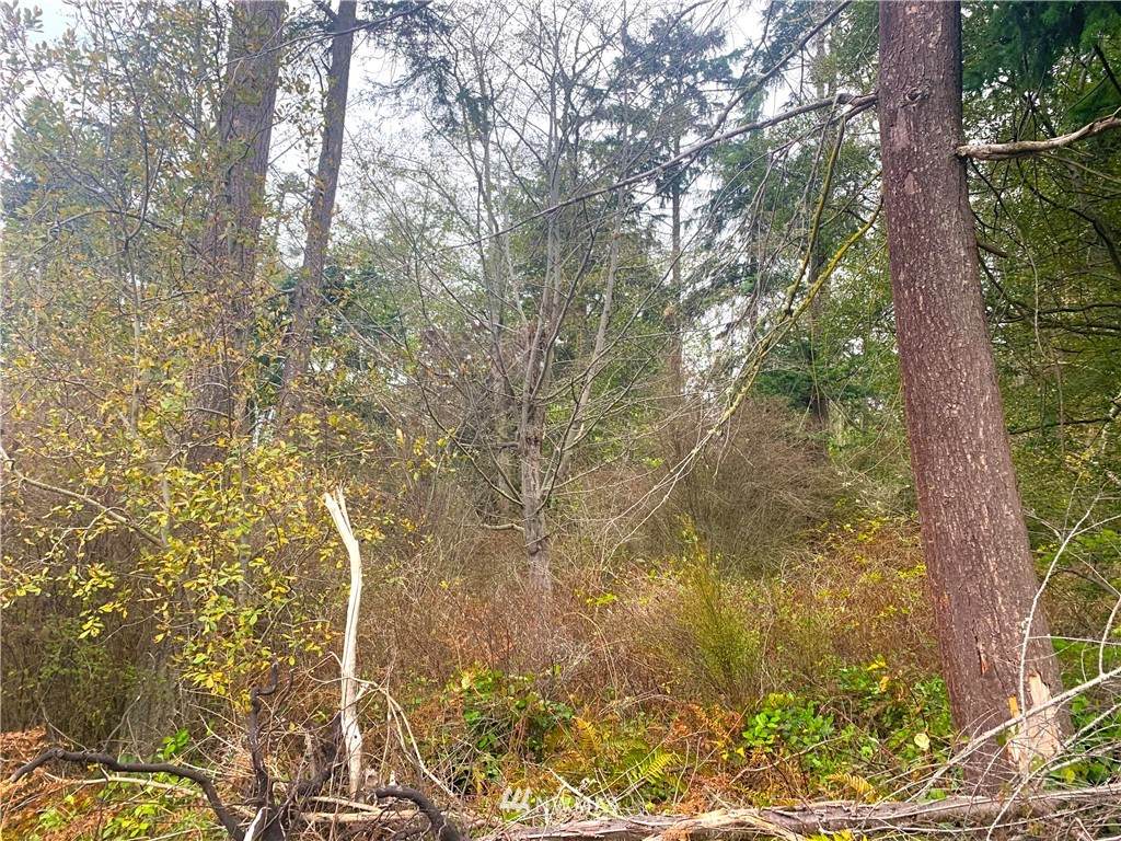 0 Heller Road - Photo 1