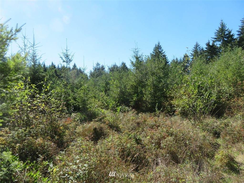 0 140th Avenue - Photo 1