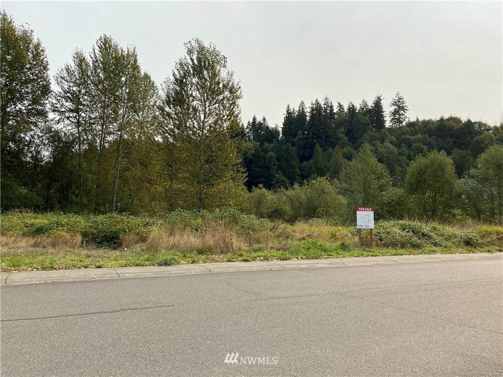 775 Eatonville Hwy - Photo 1