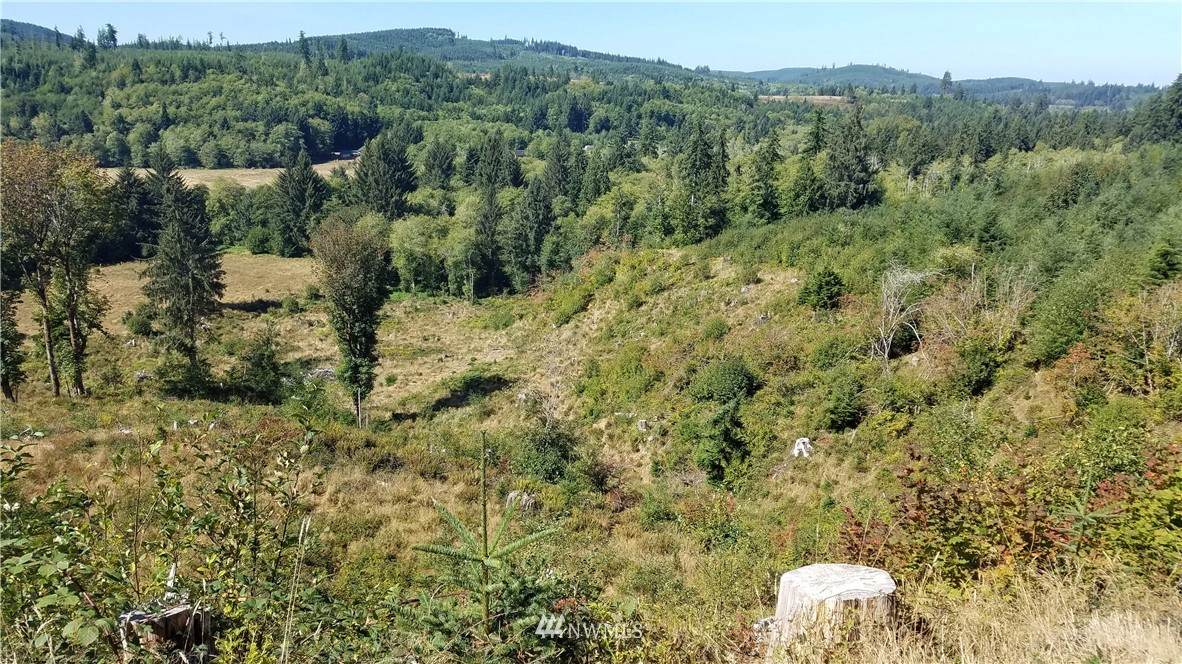 0 Rue Creek Road - Photo 1