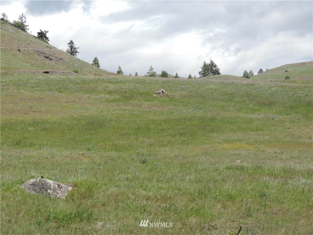 1490 Chesaw Road - Photo 1
